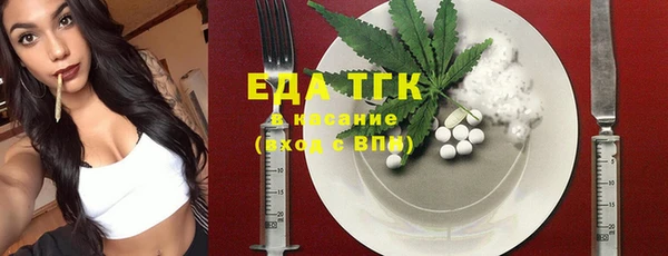 индика Елизово
