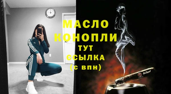 индика Елизово