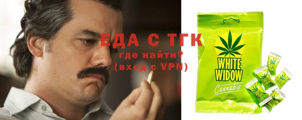 индика Елизово