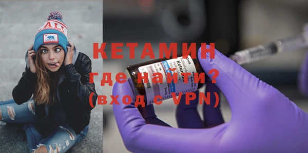 индика Елизово