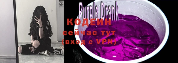 индика Елизово
