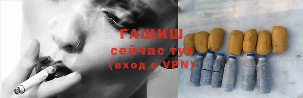 индика Елизово