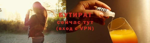 индика Елизово