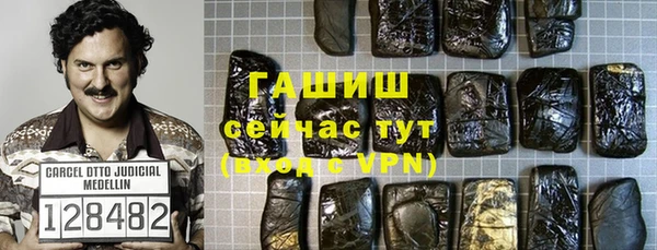 индика Елизово