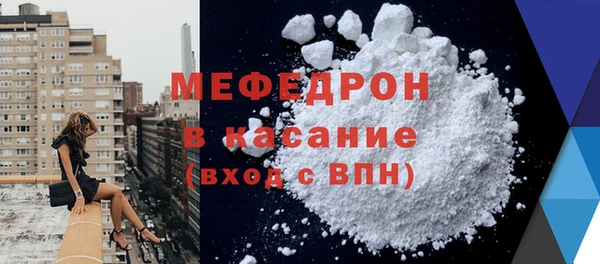 индика Елизово