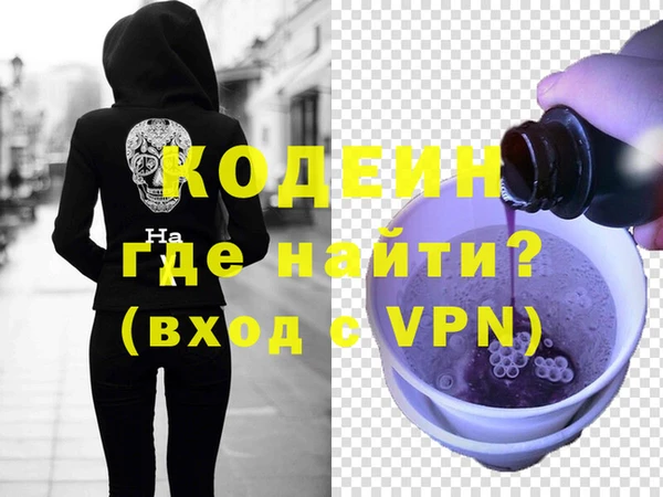 индика Елизово