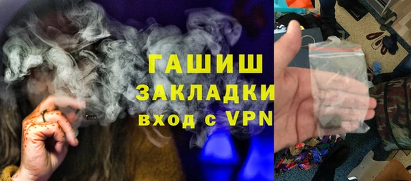 индика Елизово