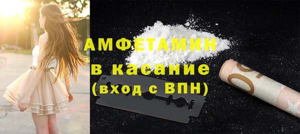 индика Елизово