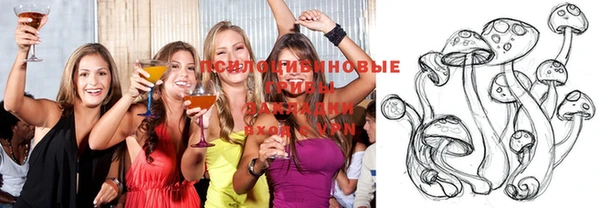 Альфа ПВП Магас