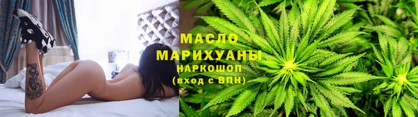 индика Елизово