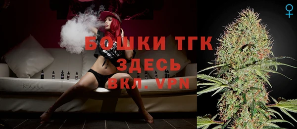 индика Елизово