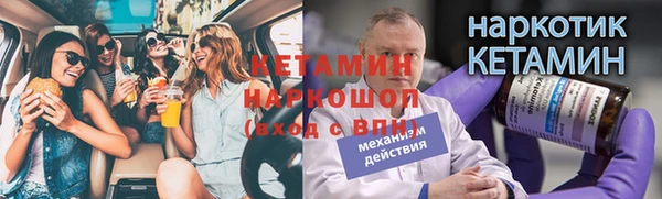 индика Елизово