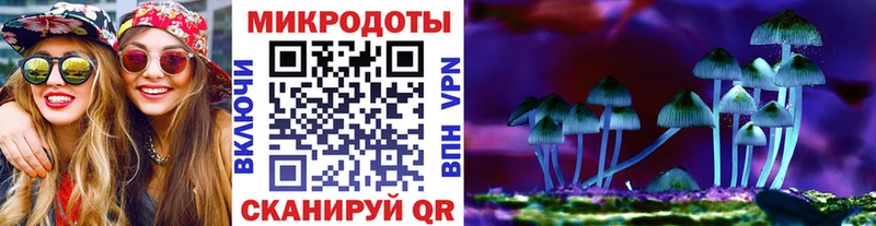 Псилоцибиновые грибы MAGIC MUSHROOMS закладка Нахабино