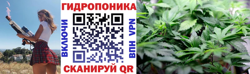 мориарти Telegram  Нахабино  Шишки марихуана индика 